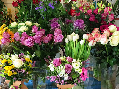 Mercado de Bailén Málaga: Floristería José